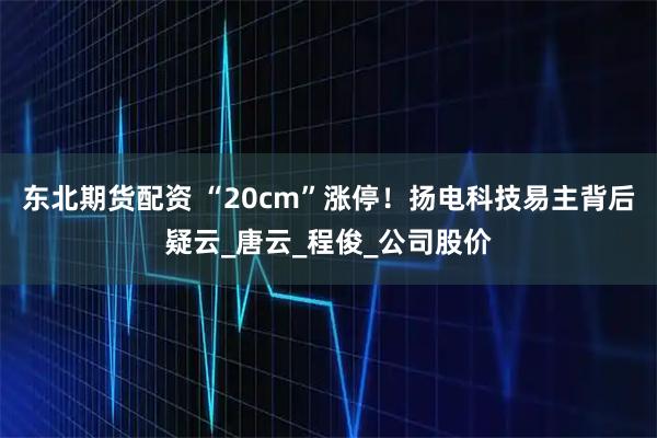东北期货配资 “20cm”涨停！扬电科技易主背后疑云_唐云_程俊_公司股价