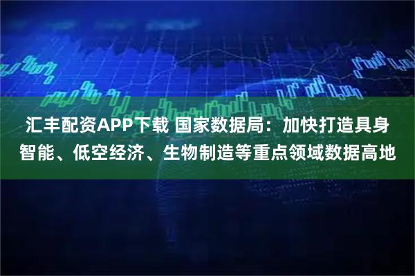 汇丰配资APP下载 国家数据局：加快打造具身智能、低空经济、生物制造等重点领域数据高地