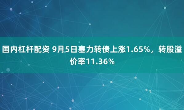 国内杠杆配资 9月5日塞力转债上涨1.65%，转股溢价率11.36%