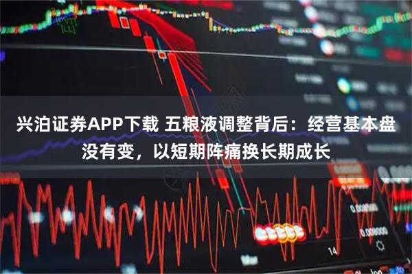 兴泊证券APP下载 五粮液调整背后：经营基本盘没有变，以短期阵痛换长期成长